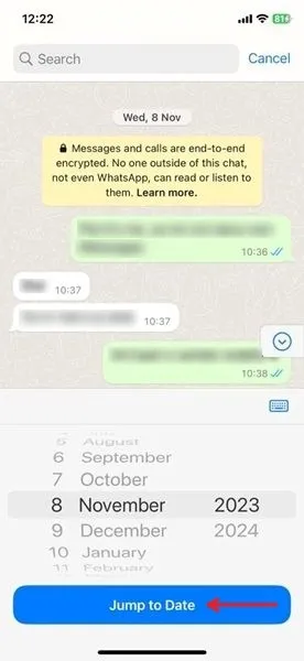 Configuración de fecha para ver mensajes de esa fecha en WhatsApp para iOS.