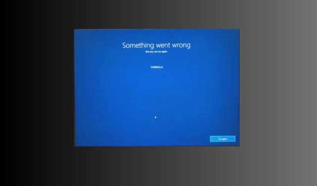 如何修復 Windows 11 上的 OOBEEULA 錯誤？