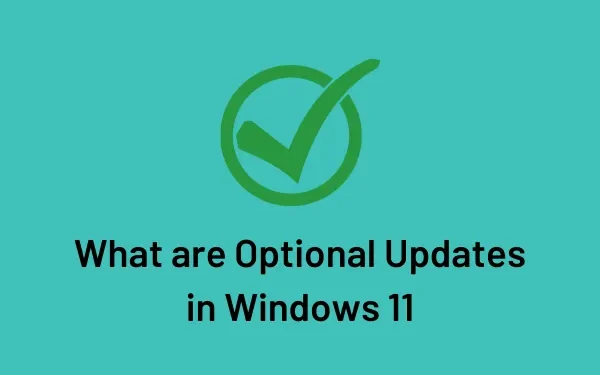 Windows 11의 선택적 업데이트란 무엇이며 설치 방법
