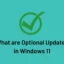 Was sind optionale Updates in Windows 11 und wie werden sie installiert?