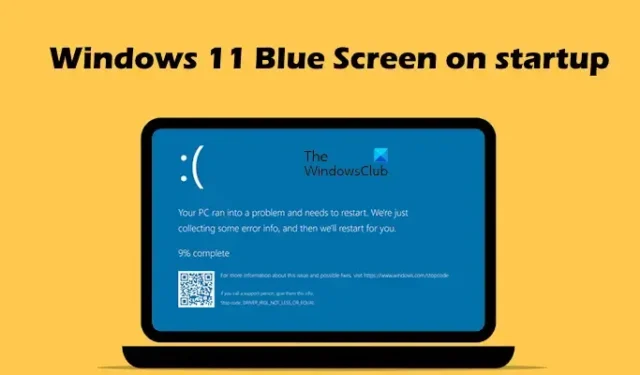 Niebieski ekran systemu Windows 11 podczas uruchamiania [Napraw]