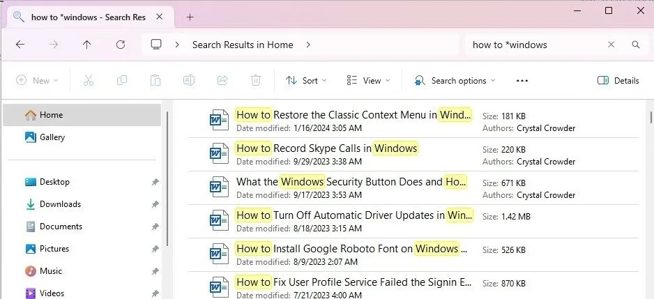 Filtros de Windows para buscar por comodines de archivo