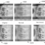 A Microsoft está desenvolvendo uma tecnologia secreta de câmera espiã que usa IA para consertar imagens quebradas