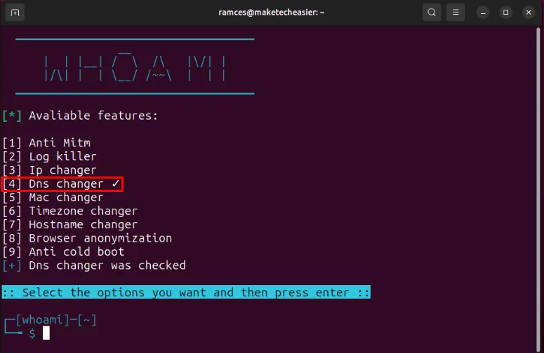 Ein Terminal, das das in Whoami umgeschaltete DNS-Changer-Modul anzeigt.