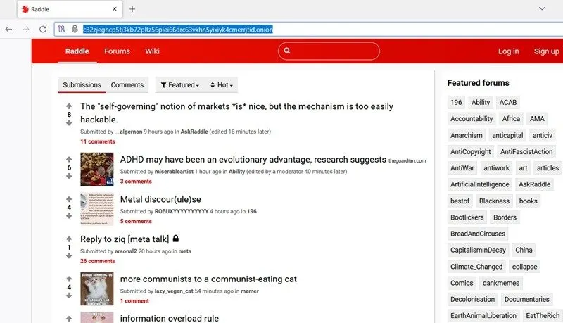 Raddle, um site político baseado em cebola semelhante ao Reddit.