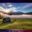 35 Beste Windows 11-thema’s en skins om gratis te downloaden