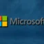 L’UE exclut Bing, Edge et Advertising de Microsoft de la catégorie « Gatekeepers »