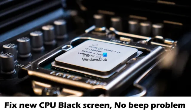 Repare la nueva pantalla negra de la CPU, no hay problema de pitido