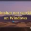 Lightshot が Windows 11 で動作しない [修正]