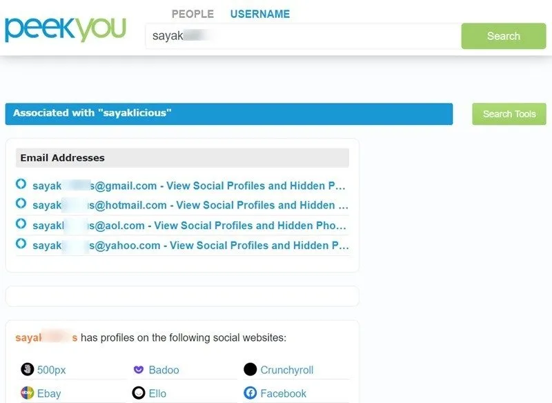 Pesquisando nome de usuário em diferentes sites de mídia social usando o Peek You.