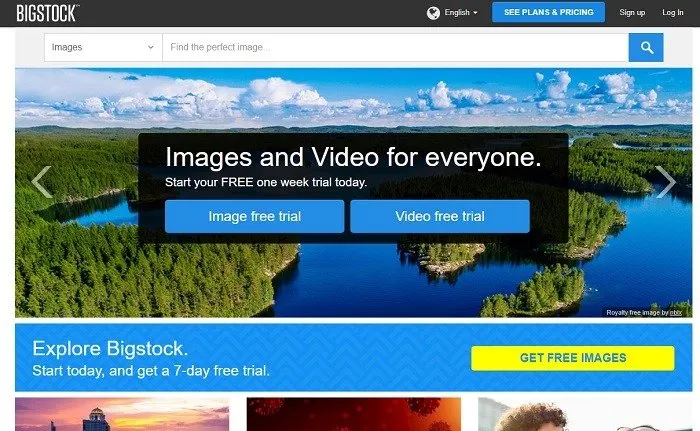 Nutzen Sie Bigstock, um günstigere Premium-Bilder zu finden.