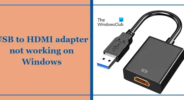 L’adattatore da USB a HDMI non funziona su Windows 11/10