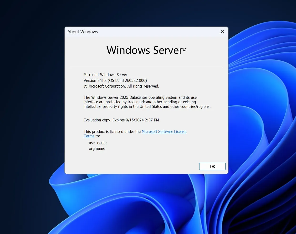 Windows Server 2025 プレビュー ビルド