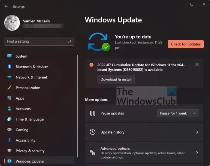 Windows Update Controlla gli aggiornamenti
