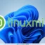 Opinione popolare: Mint è la distribuzione Linux più vicina a Windows 11