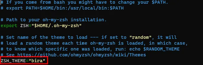 Définition du thème Zsh sous Oh My Zsh avec l'éditeur Nano