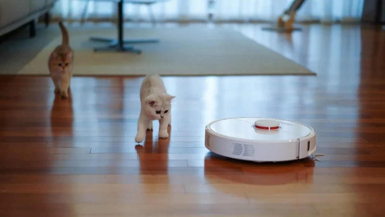 Robot aspirapolvere su pavimento in legno inseguito da due gattini.