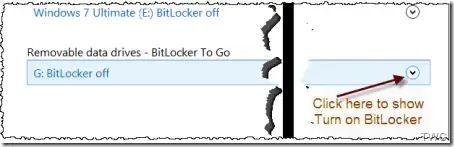BitLockerToGo03