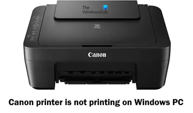 La stampante Canon non stampa su PC Windows [fissare]
