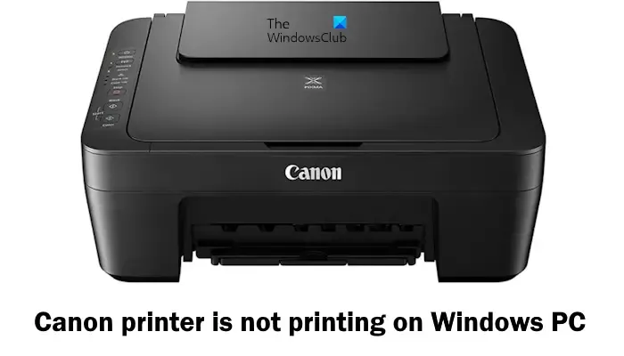 A impressora Canon não está imprimindo