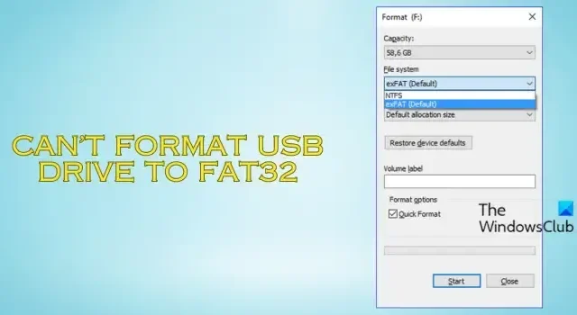 USB lässt sich unter Windows 11/10 nicht auf FAT32 formatieren [Fix]