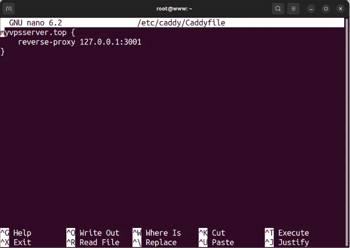 Un terminal affichant une configuration de proxy inverse Caddy modifiée.