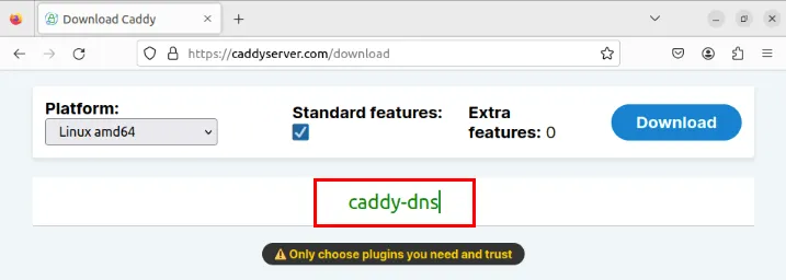 Caddy ダウンロード ページの caddy-dns 検索ボックスを強調表示したスクリーンショット。