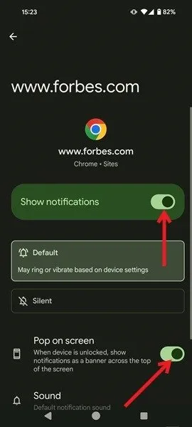 Activation des notifications pour le site Web via l'application Chrome.