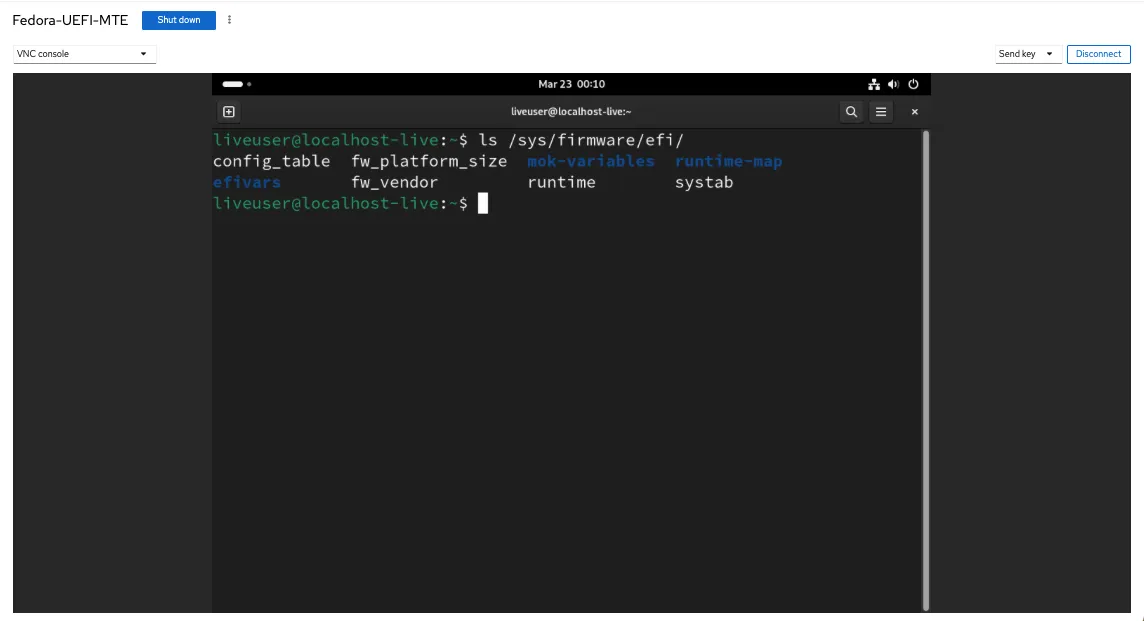 Uno screenshot che mostra la VM in esecuzione in modalità UEFI.
