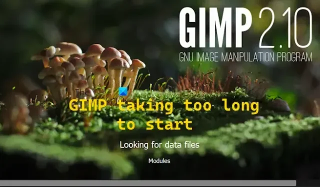 Waarom duurt het zo lang voordat GIMP op mijn pc wordt geopend?