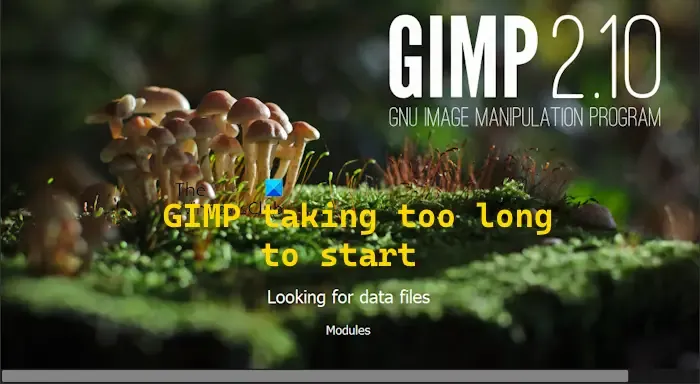 Het duurt lang voordat GIMP wordt geopend