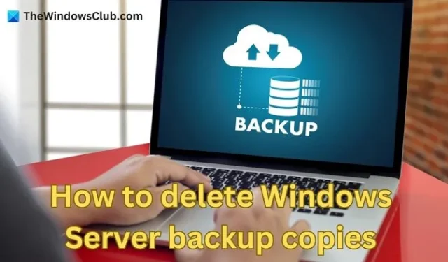 Comment supprimer les copies de sauvegarde de Windows Server
