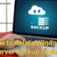 Como excluir cópias de backup do Windows Server