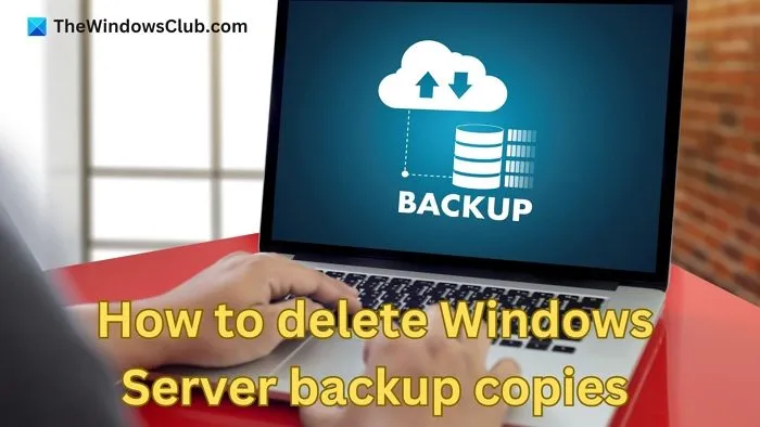 Come eliminare le copie di backup di Windows Server