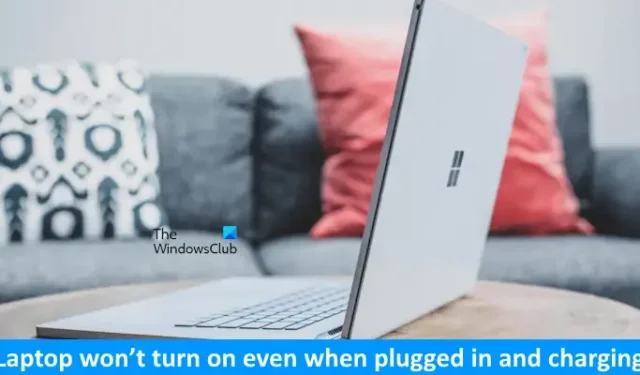 Der Laptop lässt sich nicht einschalten, selbst wenn er angeschlossen ist und aufgeladen wird