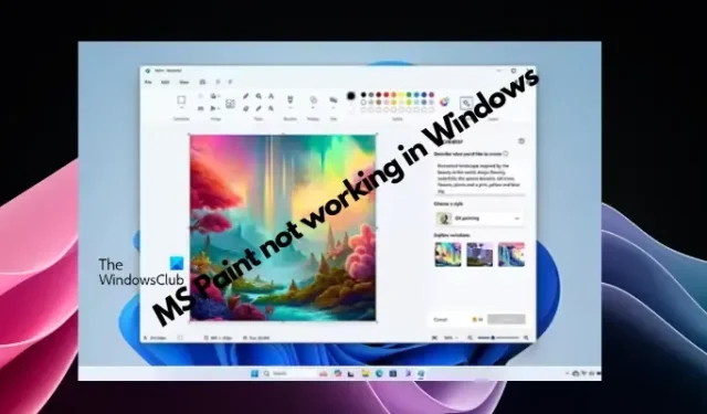 MS Paint werkt niet in Windows 11