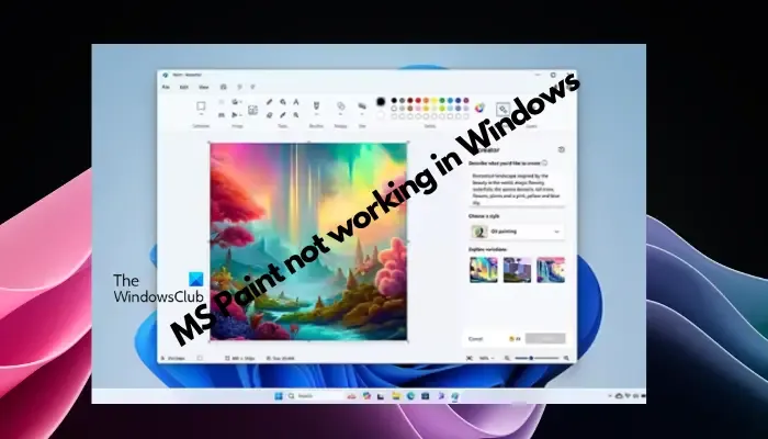 MS Paint werkt niet in Windows 11/10