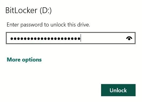 Immissione della password per accedere all'unità crittografata con BitLocker.