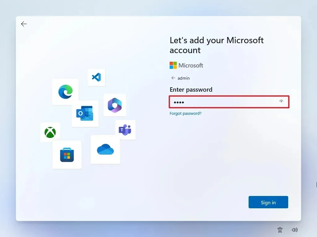 Password falsa della Configurazione guidata di Windows 11