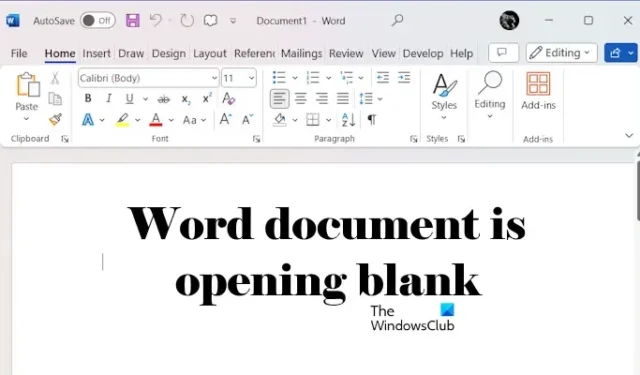 Windows 11/10 で Word 文書が空白で開かれる