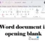 Word-Dokument wird unter Windows 11/10 leer geöffnet