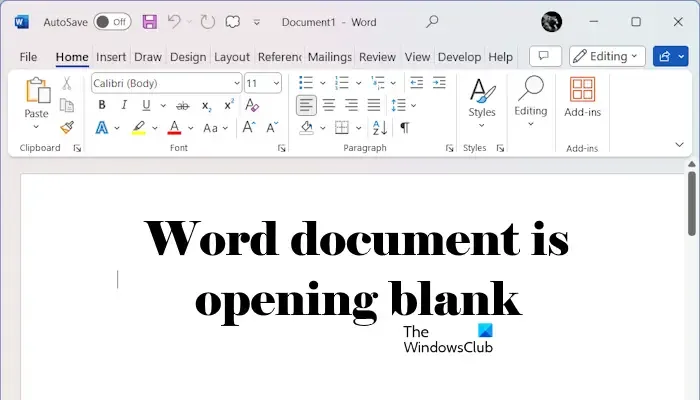 Le document Word s'ouvre en blanc