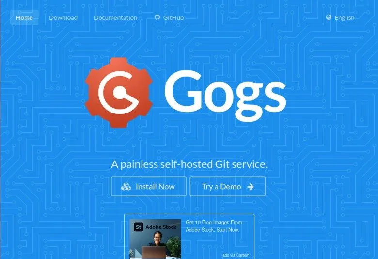 Uno screenshot della pagina web predefinita di Gogs.