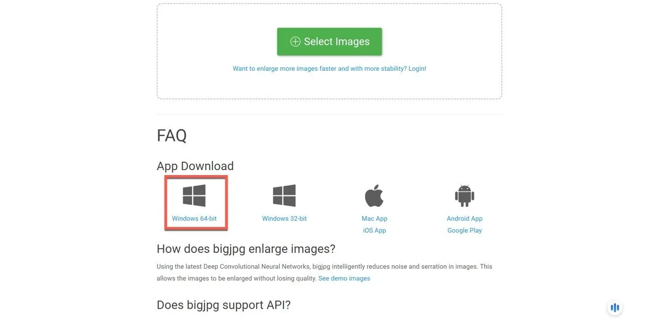Bigjpg Windows-Download-Option 1