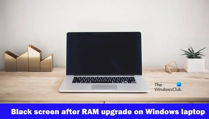 Pantalla negra después de la actualización de RAM