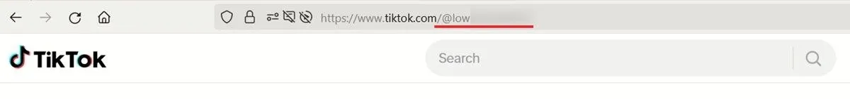 Adres URL profilu TikTok widoczny w przeglądarce na komputerze.