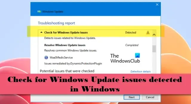 檢查 Windows 11/10 中偵測到的 Windows 更新問題