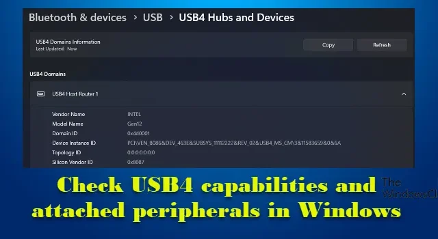 Verifique las capacidades de USB4 y los periféricos conectados en Windows 11