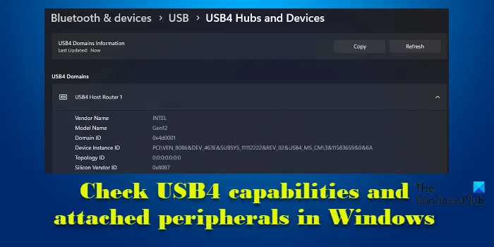 USB4 기능 및 연결된 주변 장치 확인