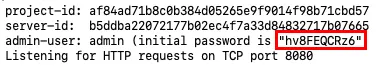 Uno screenshot che evidenzia la password casuale per l'account amministratore.